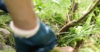 Eldivenli erkekler çiçekleri yakar, otları ve otları toplar.,