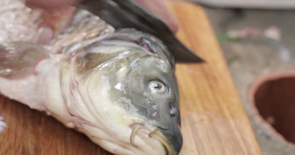 Bıçakla taze balık kesiyor. Erkekler öğle yemeği için balık keser. — Stok video
