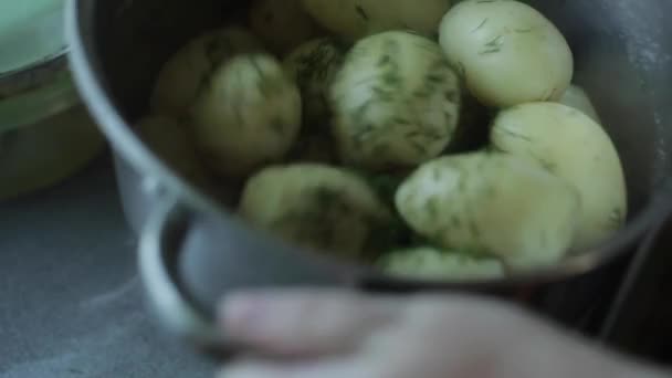 Sypat vařené brambory s koprem — Stock video