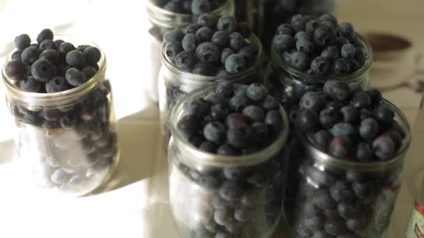 Frische Blaubeeren. Beeren werden übergossen. Nützliche Vitamine — Stockvideo