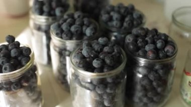 Taze yaban mersini. Böğürtlenler dökülüyor. Faydalı vitaminler