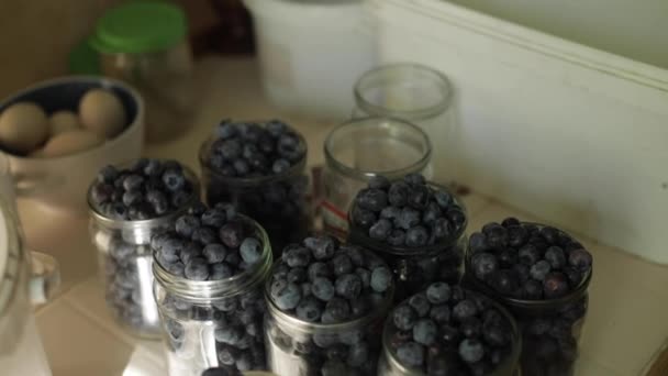 新鮮なブルーベリー。果実が注ぎ込まれます。便利なビタミン — ストック動画