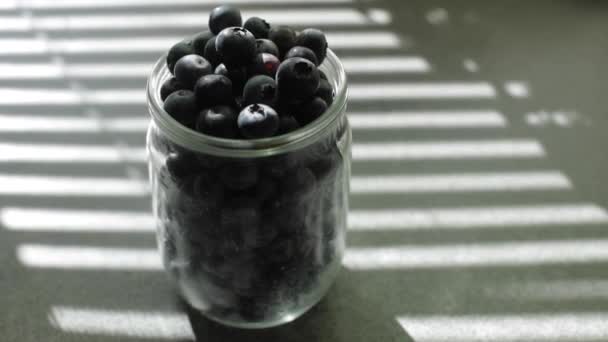 Färska blåbär. Bär hälls över. Användbara vitaminer — Stockvideo