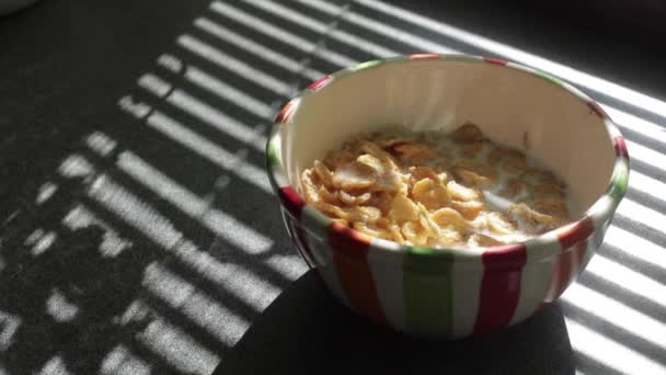 Leche vertiendo en un tazón de salpicaduras de cereales en cámara lenta — Vídeos de Stock