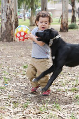 çocuk ve eğitimsiz köpek üzerinden topu mücadele