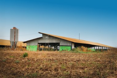 büyük çiftlik barn ve silo