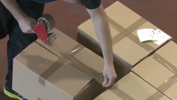 Employé ferme boîtes en carton de marchandises pour expédition vers des destinations internationales — Video