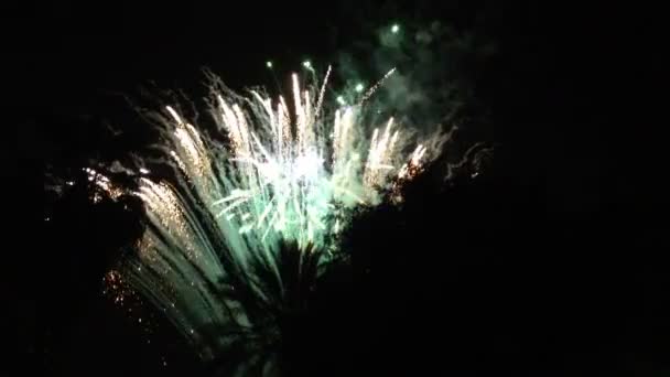 explodierendes Feuerwerk am Nachthimmel
