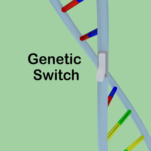 緑の上に隔離されたDna二重らせん上の象徴的なスイッチの3Dイラスト — ストック写真