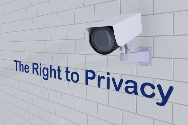 レンガの壁にマウントされているセキュリティカメラの下でプライバシー権のタイトルの3Dイラスト — ストック写真