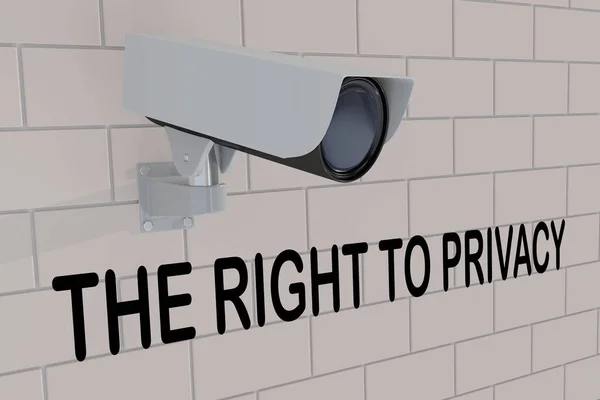 レンガの壁にマウントされているセキュリティカメラの下でプライバシー権のタイトルの3Dイラスト — ストック写真