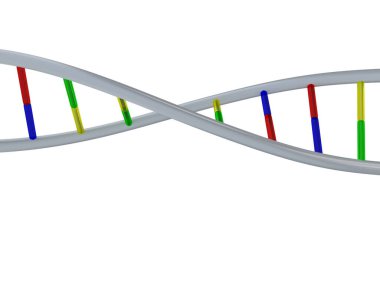 3d render illustration of DNA sequence on white