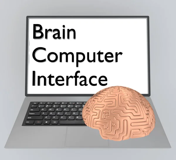 Ilustração Script Braincomputer Interface Tela Laptop Com Cérebro Simbólico Isolado — Fotografia de Stock