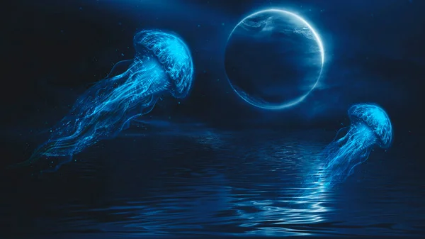 Siyah Arka Planda Soyut Fantezi Neon Denizanası Deniz Anası Renkli — Stok fotoğraf