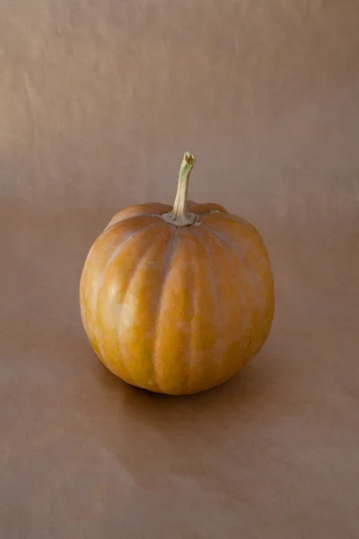 Färska orange pumpa på förpackning papper bakgrund — Stockfoto