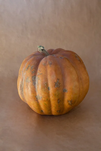 Färska orange pumpa på förpackning papper bakgrund — Stockfoto