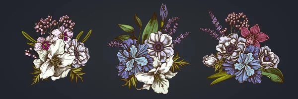Renkli şakayık çiçeği, lavanta, biberiye, penaenopsis, zambak, iris