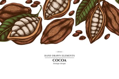 Renkli elementlerin tasarımı kakao çekirdekleri, kakao