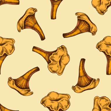 Seamless pattern with hand drawn colored chanterelle clipart