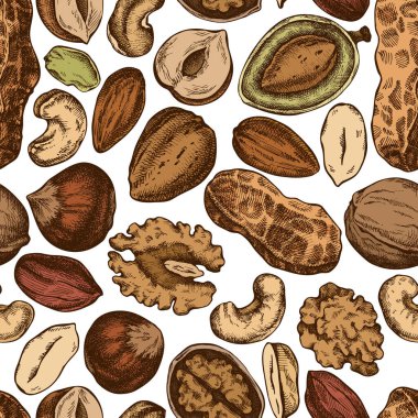 Kusursuz desenli, el çizimi kaju, fıstık, fıstık, fındık, badem, ceviz