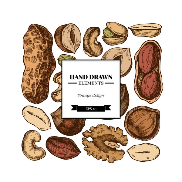 Design quadrato con anacardi colorati, arachidi, pistacchi, nocciole, mandorle, noci — Vettoriale Stock