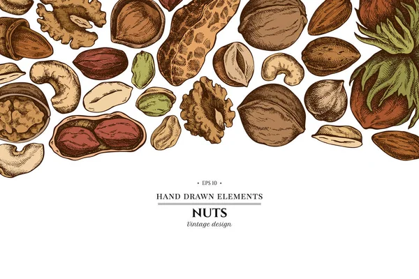 Colored elements design with cashew, peanut, pistachio, hazelnut, almond, walnut — Vettoriale Stock