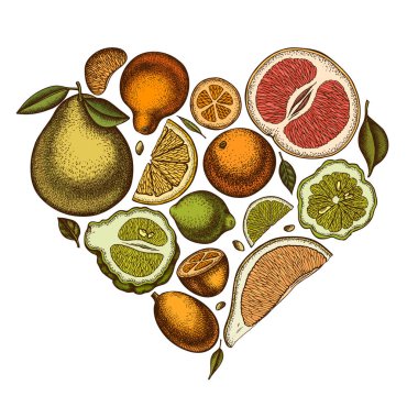 Citrus kalp vintage tasarımı. El yapımı kumkat, limon, tangelo, greyfurt, portakal, limon, mandalina, pomelo, bergamot.