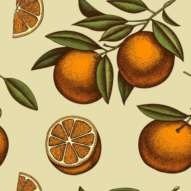 Citrus dikişsiz arka plan tasarımı. İşlemeli stil. El çizimi turuncu.