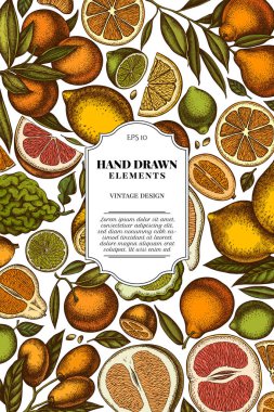 Citrus klasik kart tasarımı. El yapımı kumkat, limon, tangelo, greyfurt, portakal, limon, mandalina, pomelo, bergamot.