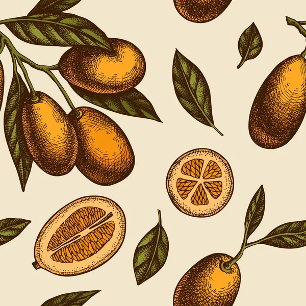 Citrus seamless pattern background design. Engraved style. Hand drawn kumquat. — Vector de stock