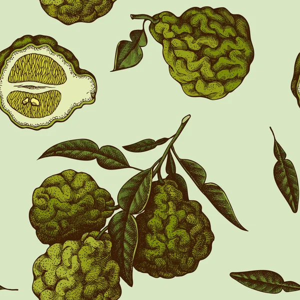 Citrus seamless pattern background design. Engraved style. Hand drawn bergamot. — Vector de stock
