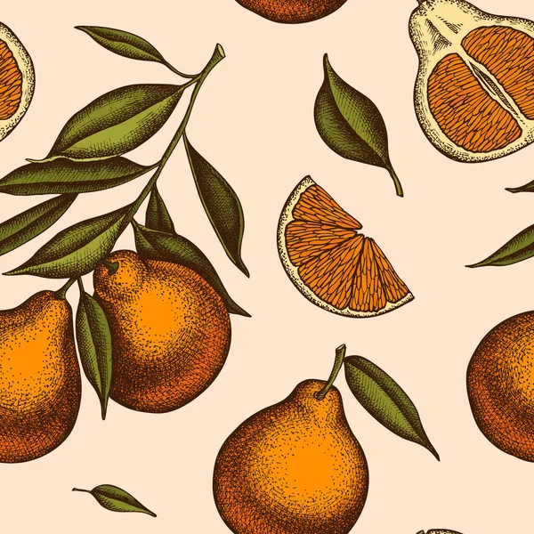 Citrus seamless pattern background design. Engraved style. Hand drawn tangelo. — Vector de stock