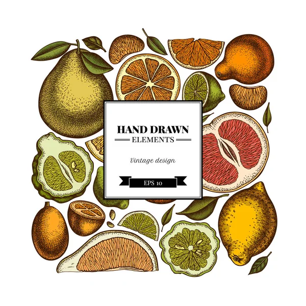 Citrus square card or invitation design. Frame design with kumquat, lemon, tangelo, grapefruit, orange, lime, mandarin, pomelo, bergamot. — Vettoriale Stock