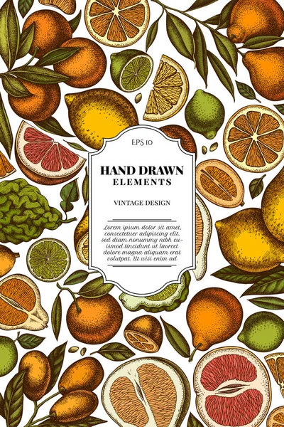 Citrus klasik kart tasarımı. El yapımı kumkat, limon, tangelo, greyfurt, portakal, limon, mandalina, pomelo, bergamot.