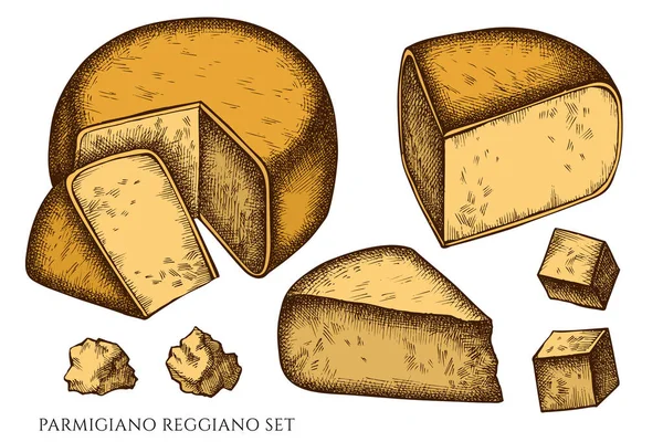 Cheese hand drawn vector illustrations collection. Colored parmigiano reggiano. — Stockvector