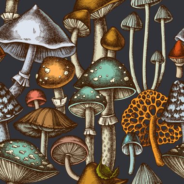 Forest mushrooms seamless pattern background design. Engraved style. Hand drawn mushrooms. clipart