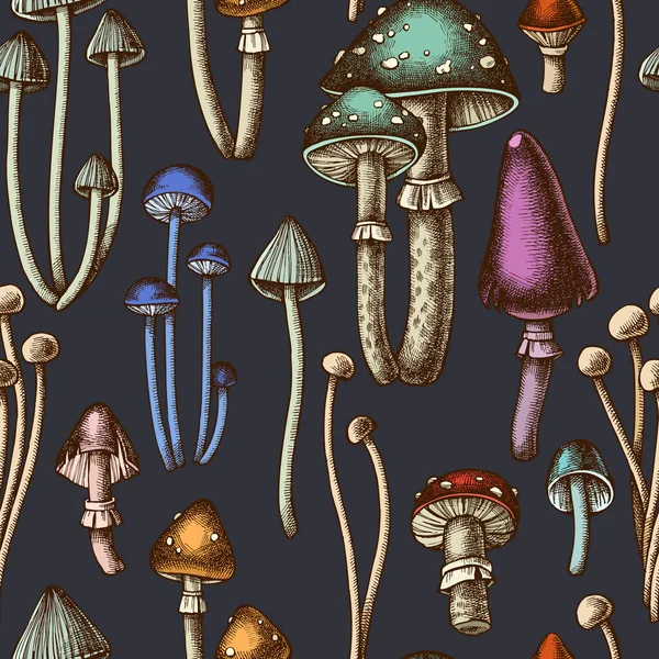 Forest champignons naadloos patroon achtergrond ontwerp. Een gegraveerde stijl. Met de hand getekende paddenstoelen, agarisch vliegen, enoki . — Stockvector