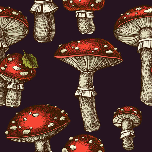 Forest mushrooms seamless pattern background design. Engraved style. Hand drawn fly agaric.