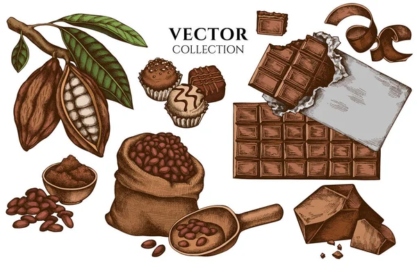 Design de crachá com grãos de cacau coloridos, cacau, chocolate, doces de chocolate — Vetor de Stock