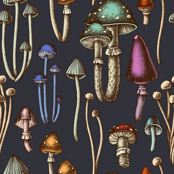 Лесные грибы бесшовный рисунок фона. Выгравированный стиль. Грибы ручные, мухомор, эноки . Векторная Графика