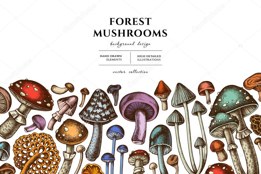 Forest mushrooms hand drawn illustration design. Background with retro mushrooms, fly agaric, blewit, red pine mushroom, black chanterelle, enoki , chanterelle, morel mushroom.