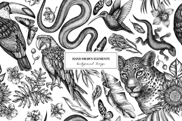 Tropical Animals Seamless Pattern Background Design Engraved Style Hand Drawn — 图库矢量图片