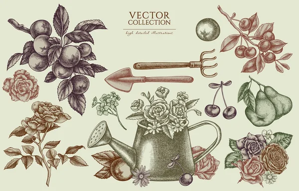 Colección Ilustraciones Vintage Jardinería Dibujos Logotipo Dibujado Mano Con Regadera Gráficos Vectoriales