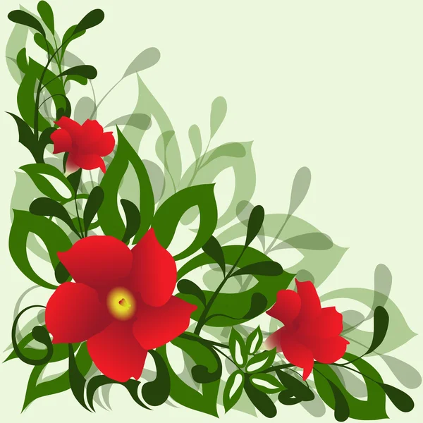 빨간 꽃 배경 — 스톡 벡터