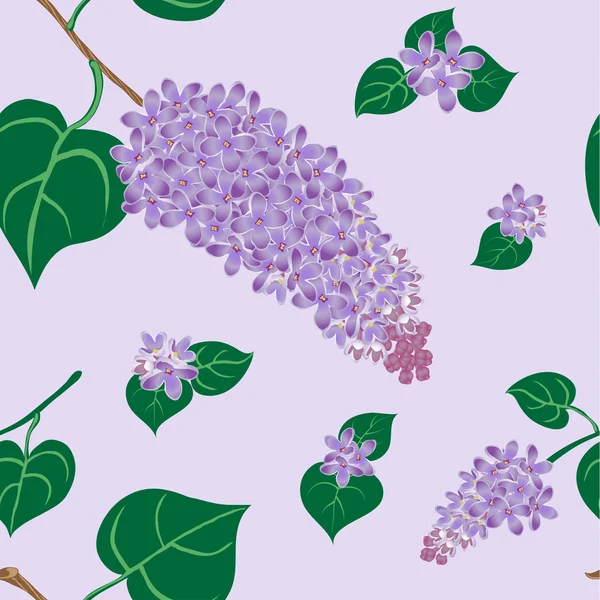 Lilac bush — Stock Vector