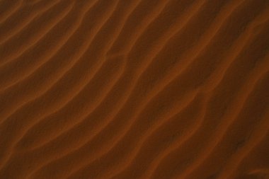 Sanddune