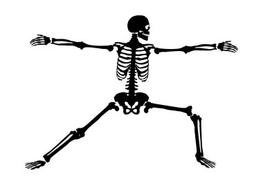Yoga pozisyonunda bir iskeletin silueti. Vektör.