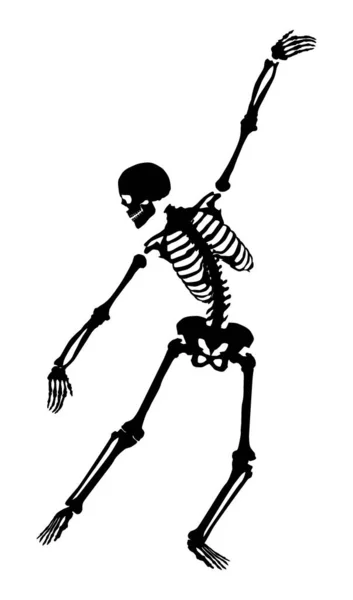 Silhouette Dancing Skeleton One Shape Curve Vector — Vettoriale Stock