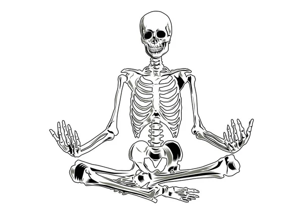 Vector Skeleton Yoga Position Three Separate Parts Skull Torso Legs — Image vectorielle