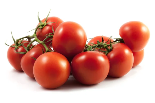 Big Tomato Vine — Stock Photo, Image